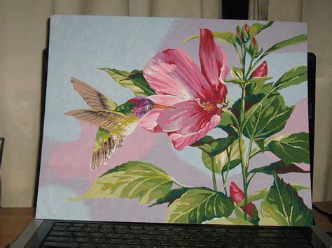 Hibiscus Hummingbird Paint By Number Kit Pictures By