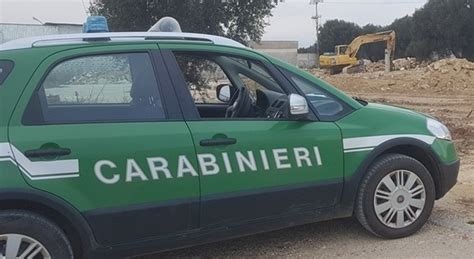 Positivo Al Covid Ma Non Rispetta La Quarantena Per Raccogliere Funghi