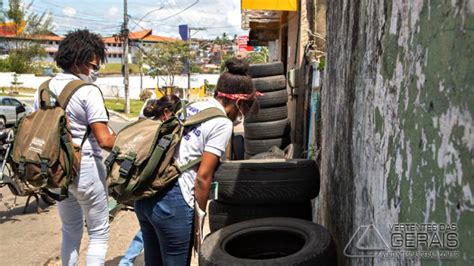 PROXIMIDADE DO VERÃO CUIDADOS PARA EVITAR A DENGUE CONTINUAM SENDO