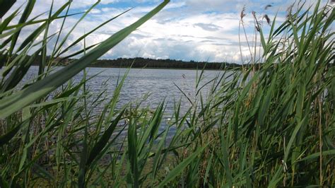 Poleski Park Narodowy Aktualno Ci Atrakcje Mapa Cennik