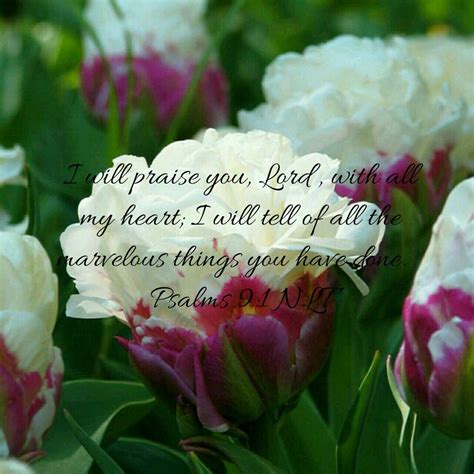 List 100 Pictures Bible Verses With Flower Images Updated