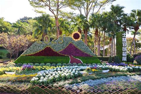 士林官邸菊展今開展 20萬盆菊花融入菊藝生活 蕃新聞