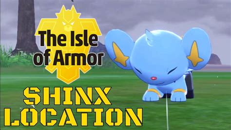 Pokemon Sword And Shield Shinx Location Isle Of Armor Pokemon Youtube