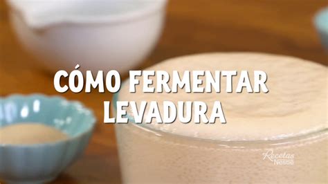 CÓmo Fermentar Levadura Youtube