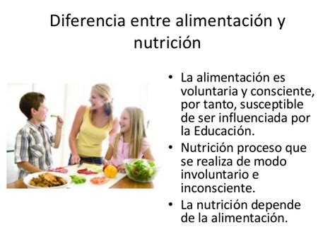 Cuadros Sinópticos Sobre Los Alimentos Cuadro Comparativo