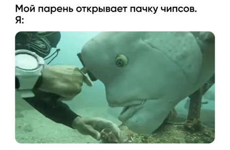 Рыба с человеческим лицом стала новым мемом сети