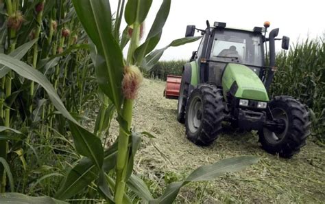 CARBURANTE AGRICOLO MAGGIORAZIONE DEL 30 ECCO COME PRESENTARE LE DOMANDE