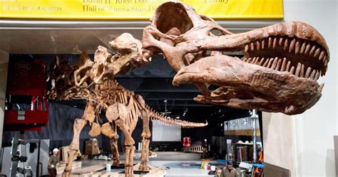 In Argentina Ranchers Discovery Leads To Largest Titanosaur The New