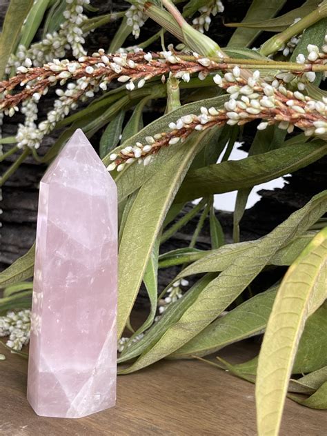 Rose Quartz Crystal Points Harmony Crystals