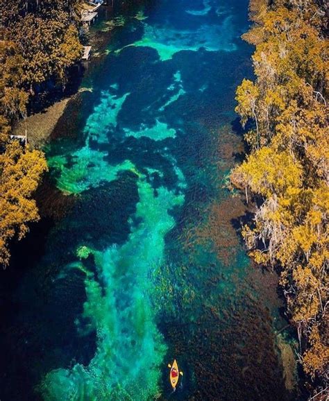 Rainbow River in Dunnellon, Florida from PureFlorida Instagram ...