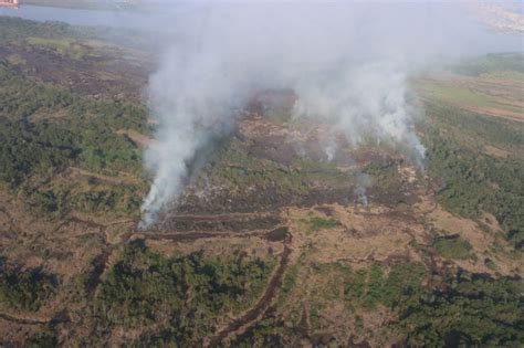 90 De Los Incendios En Isla De Salamanca Son Provocados Dirección