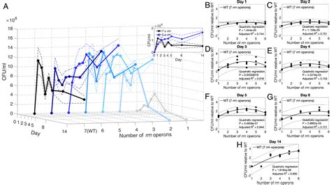 Ribosome Binding Antibiotics Increase Bacterial Longevity And Growth