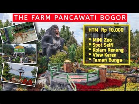 THE FARM PANCAWATI BOGOR WISATA MURAH SERU BAGUS DAN