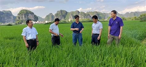 自治区植保站领导到南宁市调研指导重大病虫防控工作 植保动态 广西壮族自治区农业农村厅网站 Cn