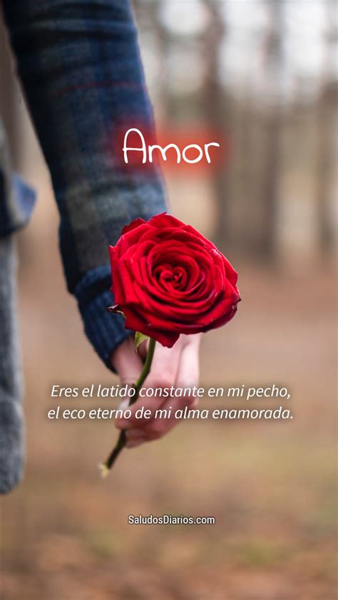 Bonito amor Menajes románticos Mujer Rosa linda Saludos Diarios