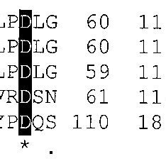 Prpb Homologs Amino Acid Sequence Alignments Between Serovar