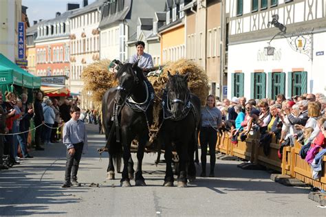 Pferdetag Zw Nitzer Erntedankfest Ein Voller Erfolg Zw Nitzer