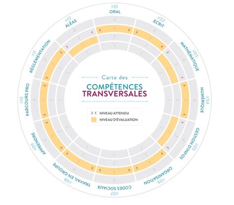 Le Guide Des Compétences Transversales Cpformation