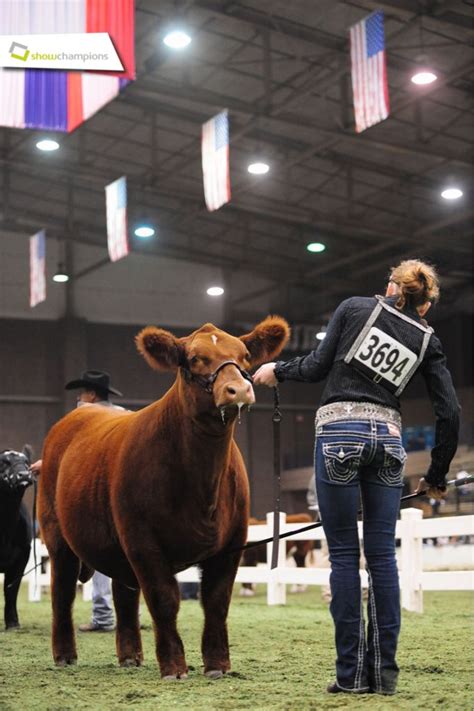 Congrats To The Winners Of The 2014 American Royal Livestock Show