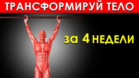 7 Простых Упражнений с Собственным Весом, Которые Трансформируют Ваше ...