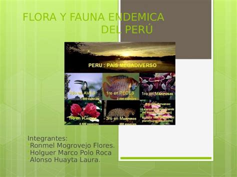 Ppt Flora Y Fauna De La India Scar Dokumen Tips Hot Sex Picture