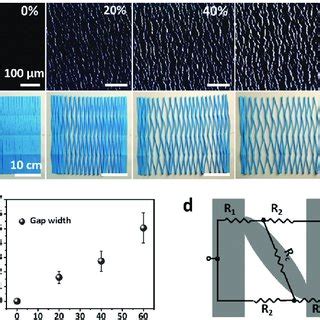 Strain Sensing Mechanism Of CNTs Films PDMS Strain Sensors A Series