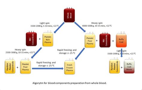 Separation of blood components from the whole blood by... | Download ...