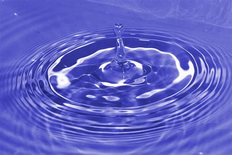 Free Images : liquid, petal, clean, ripples, drop of water 3309x2206 ...