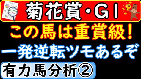 菊花賞2022年に出走予定の有力馬分析パート②！ヴェローナシチー・ドゥラドーレス・ボルドグフーシュ Youtube