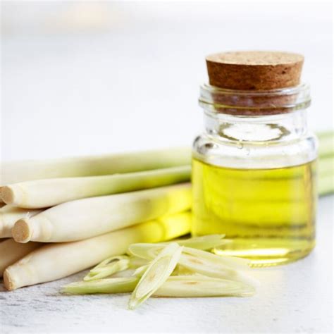 5 Benefits Of Lemongrass Essential Oil That I Love