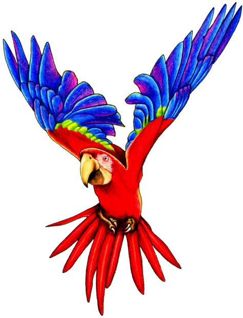 Free Flying Parrot Clipart, Download Free Flying Parrot Clipart png images, Free ClipArts on ...