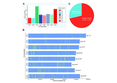 Chromosomal distribution of NLR genes in M. ruthenica. (A) Number of ...