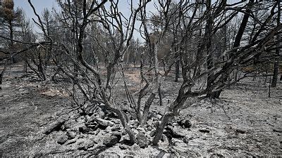 Mapa de incendios forestales en España en 2022