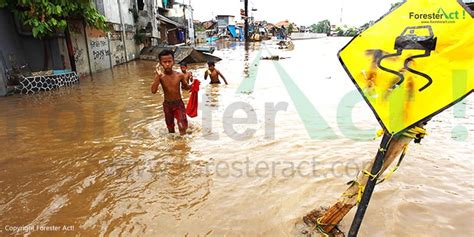 Pengertian Jenis Dampak Dan Pengendalian Banjir