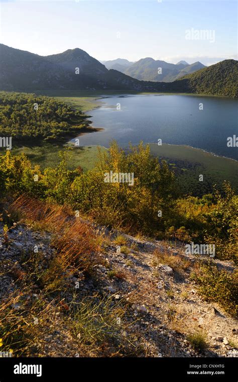 Lago skadar en montenegro fotografías e imágenes de alta resolución Alamy