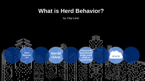 Herd Behavior by Clay Lane