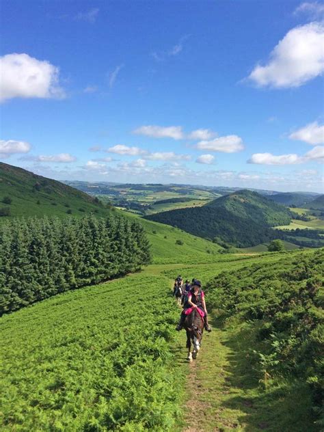 Old Radnor Trail Freerein Riding Holidays