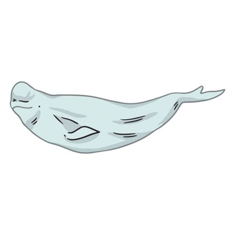 Illustration Of A Seal Png And Svg Design For T Shirts