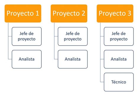 Las estructuras organizacionales y la gestión de proyectos