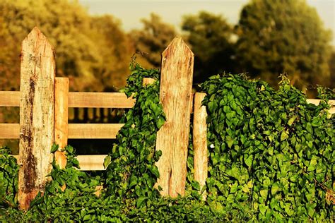 Comment Construire Une Barri Re En Palette De Bois