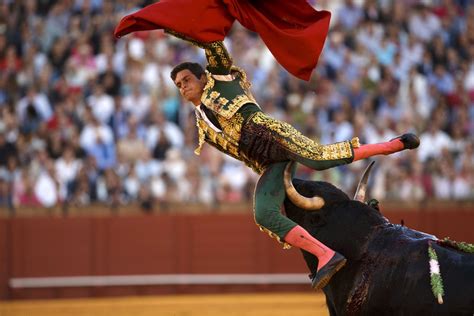 Spanish matador David Galvan is tackled by a bull during a bullfight at ...