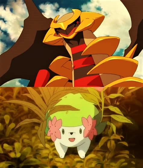 Reunion Giratina And Shaymin Pokemon By Dark Rider28 On Deviantart