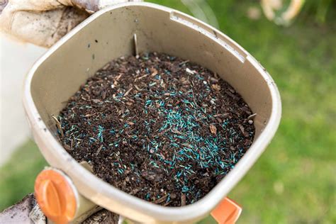 How to Plant Grass Seed: An Easy Guide