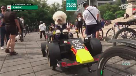 Perro fan de Checo Pérez se roba las miradas en su mini RB18 TUDN