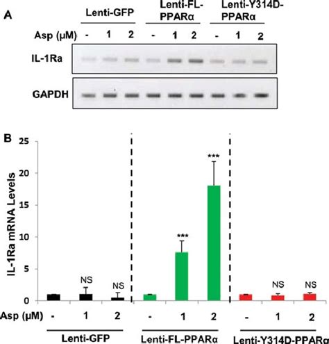 Aspirin Induces IL 1Ra In PPAR Null Mouse Astrocytes Transduced By Full