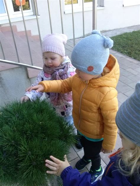 Światowy Dzień Drzewa Przedszkole Miejskie nr 1 w Olsztynie