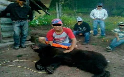 J Venes Matan A Oso Negro Solo Por Diversi N En Chihuahua El Sol De