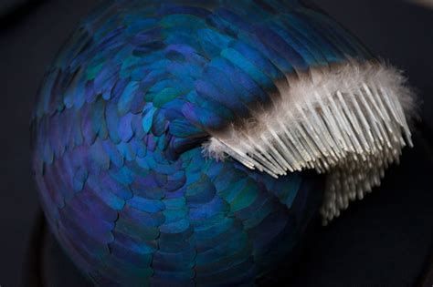 Feather Sculptures By Kate Mccgwire — Colossal