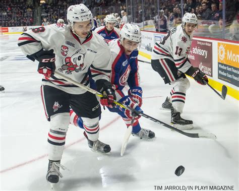 Windsor Spitfires Vs Niagara Icedogs Pix In Play Magazine