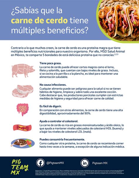 5 Beneficios Sobre La Carne De Cerdo Que Debes Conocer Bm Editores